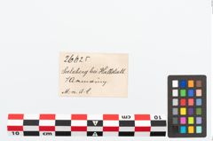 Etikett zu Bronzearmring (NHMW-PRAE-026625)
